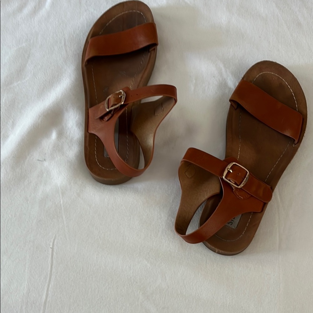 Steve Madden Brown Leather Casual Sandals